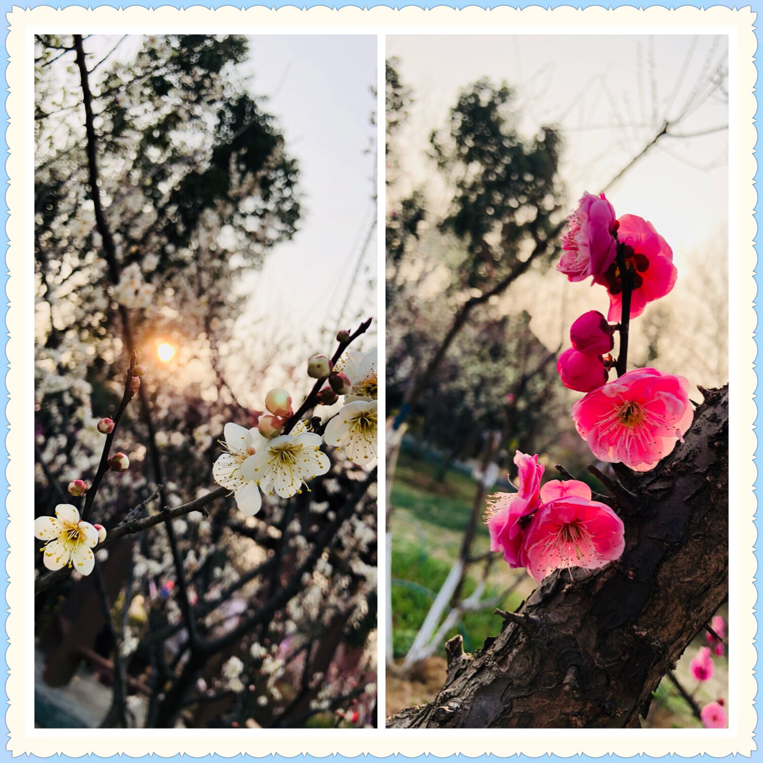 QQ图片20190313085229.jpg