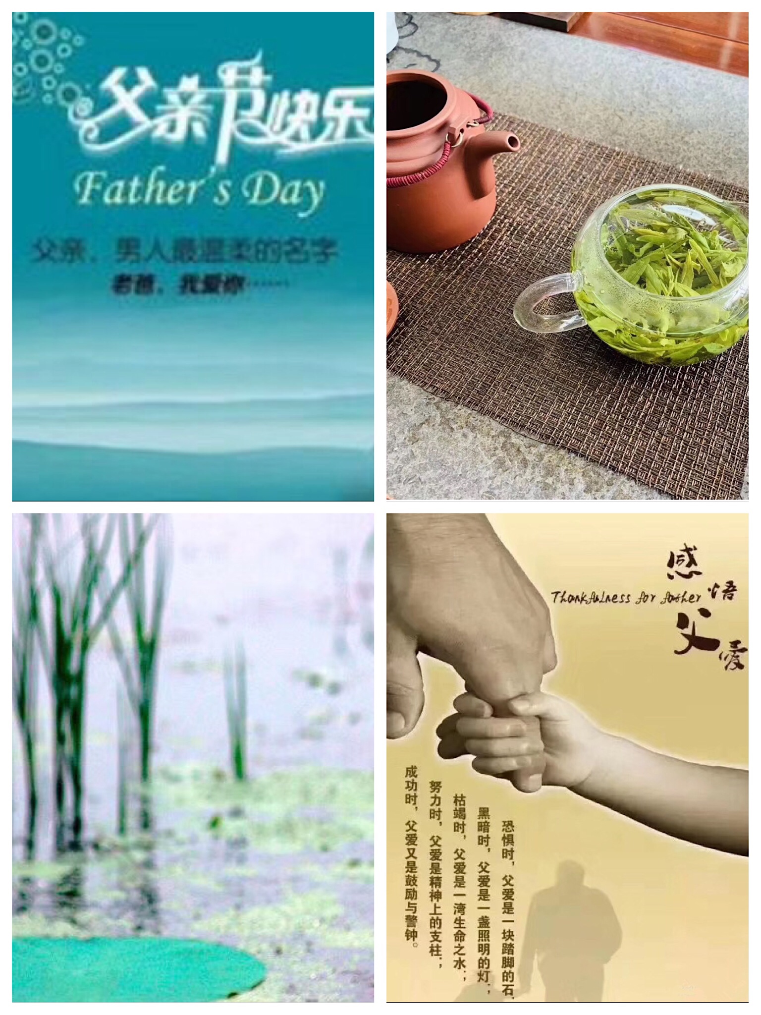 微信图片_20190620181220.jpg