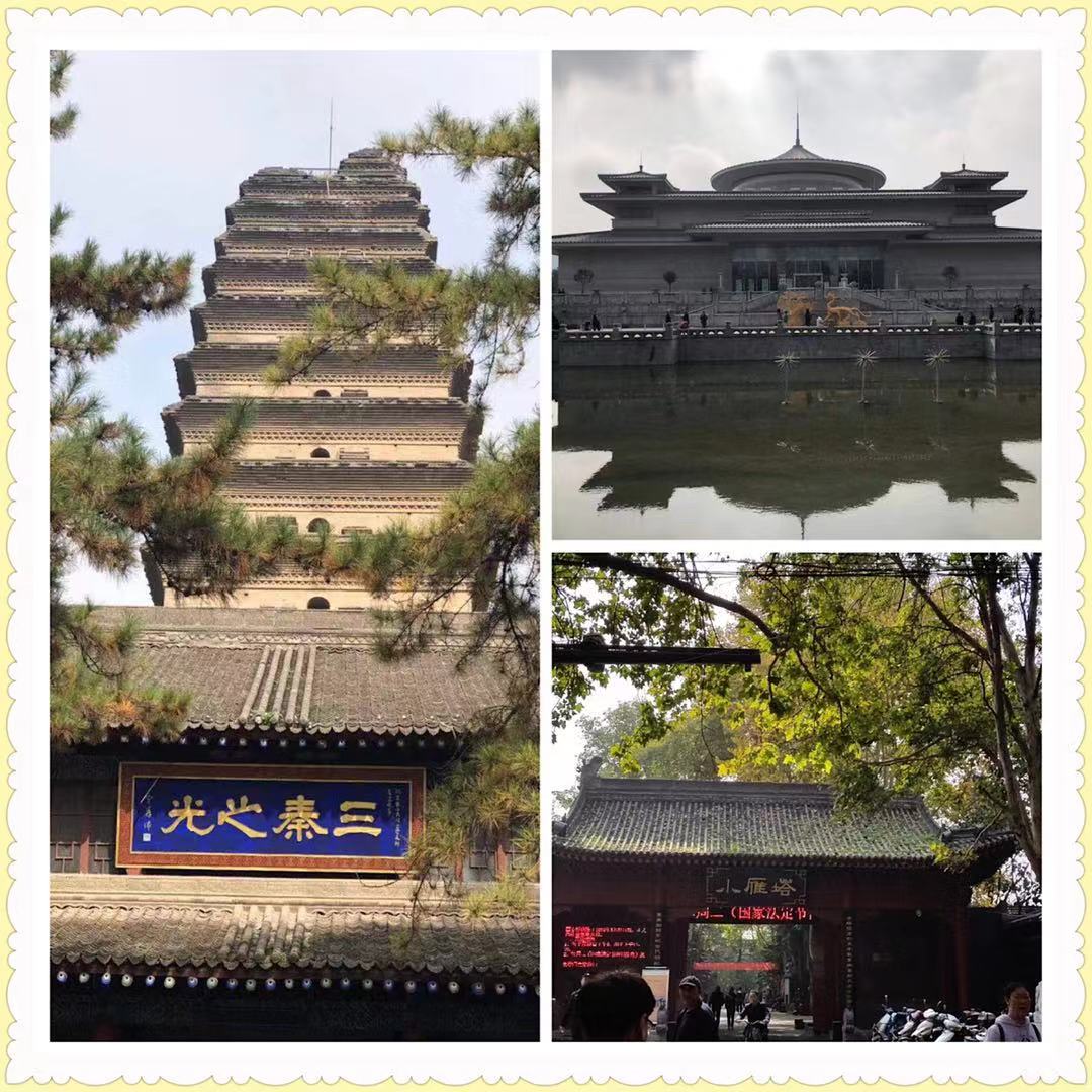 微信图片_20191109095355.jpg