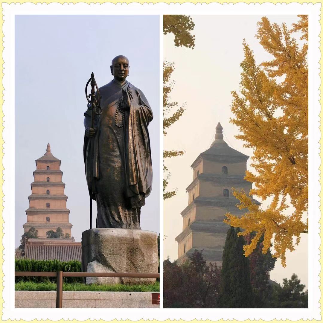 微信图片_20191109102332.jpg