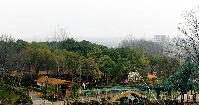 640.jpg