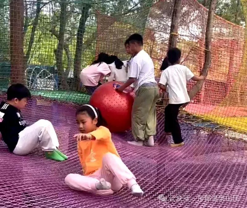 640 (2).jpg 640 (2).jpg