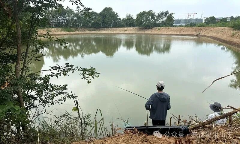 640 (1).jpg 640 (1).jpg