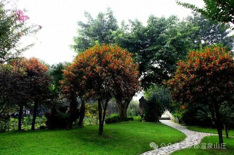 640 (2).jpg 640 (2).jpg