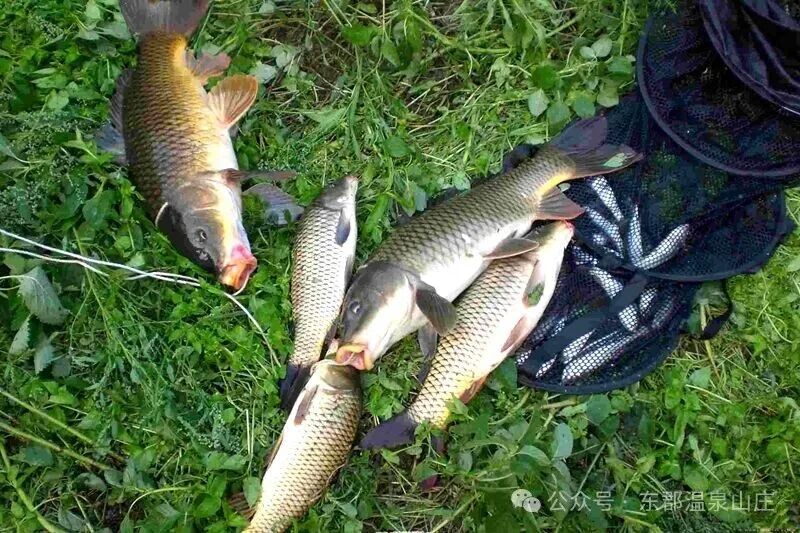 640 (4).jpg 640 (4).jpg