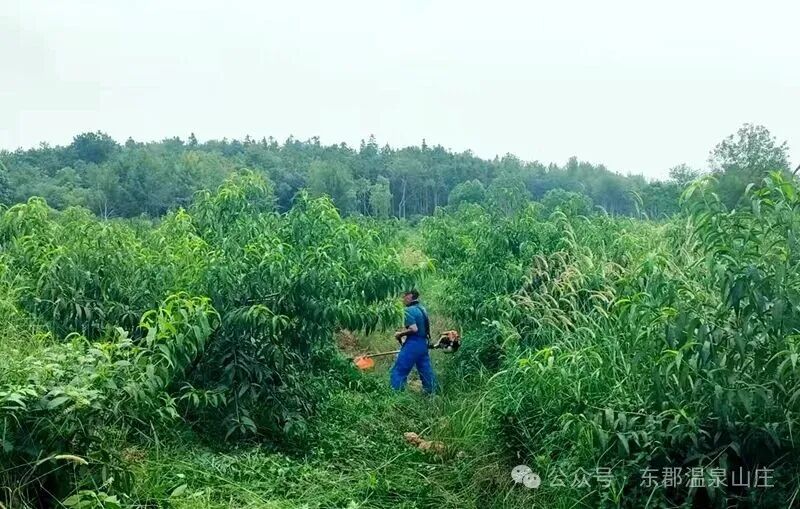 640 (1).jpg 640 (1).jpg