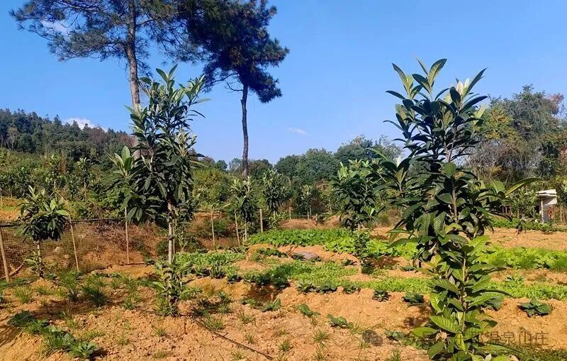 640 (2).jpg 640 (2).jpg