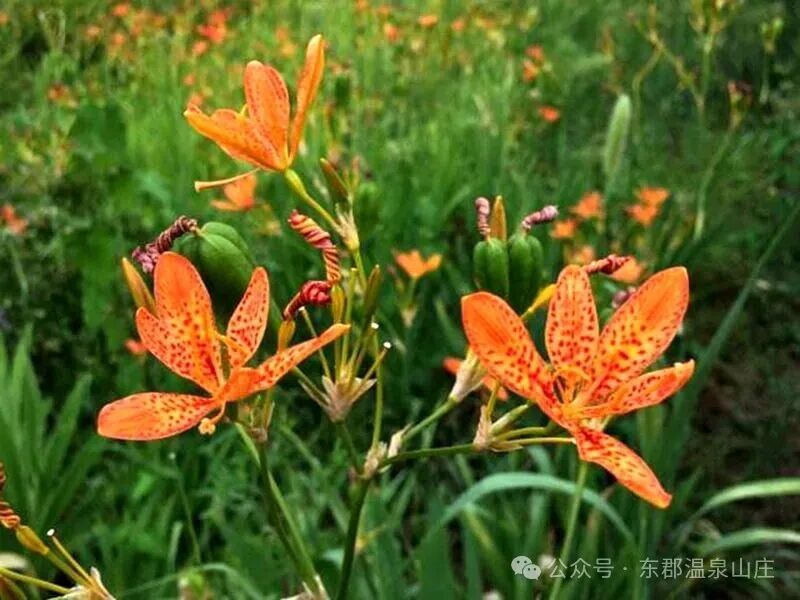 640 (3).jpg 640 (3).jpg