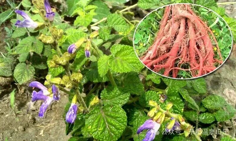 640 (4).jpg 640 (4).jpg