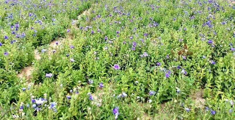 640 (6).jpg 640 (6).jpg