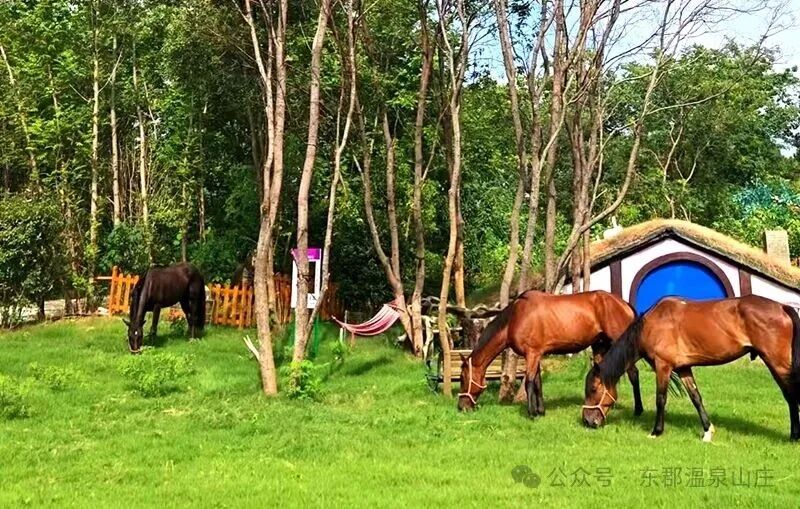 640 (8).jpg 640 (8).jpg