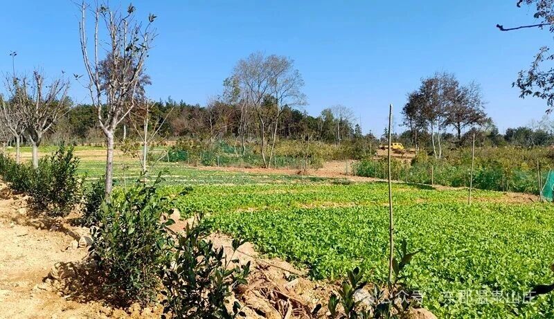 微信图片_2025-11-20_171054_601.jpg 微信图片_2025-11-20_171054_601.jpg