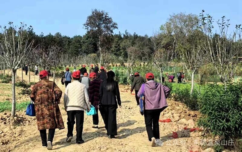 微信图片_2025-11-20_171058_051.jpg 微信图片_2025-11-20_171058_051.jpg