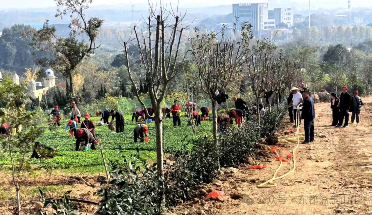 微信图片_2025-11-20_171100_938.jpg 微信图片_2025-11-20_171100_938.jpg