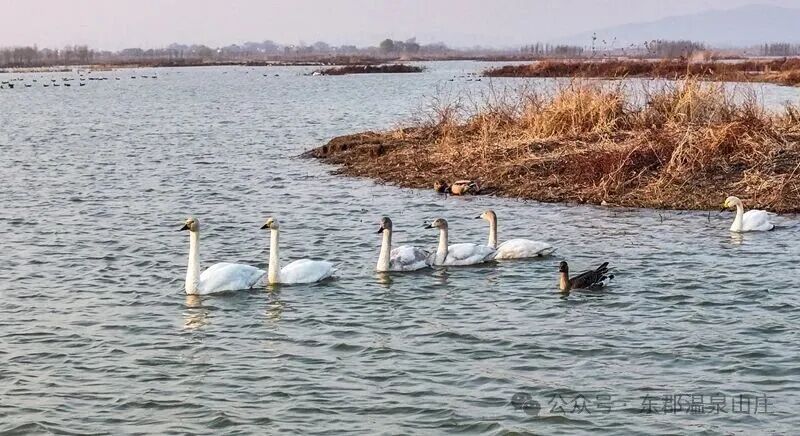 640 (3).jpg 640 (3).jpg