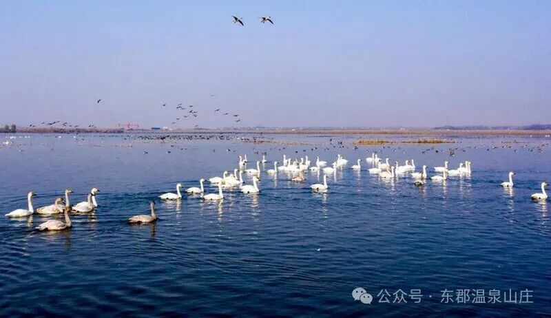 640 (4).jpg 640 (4).jpg