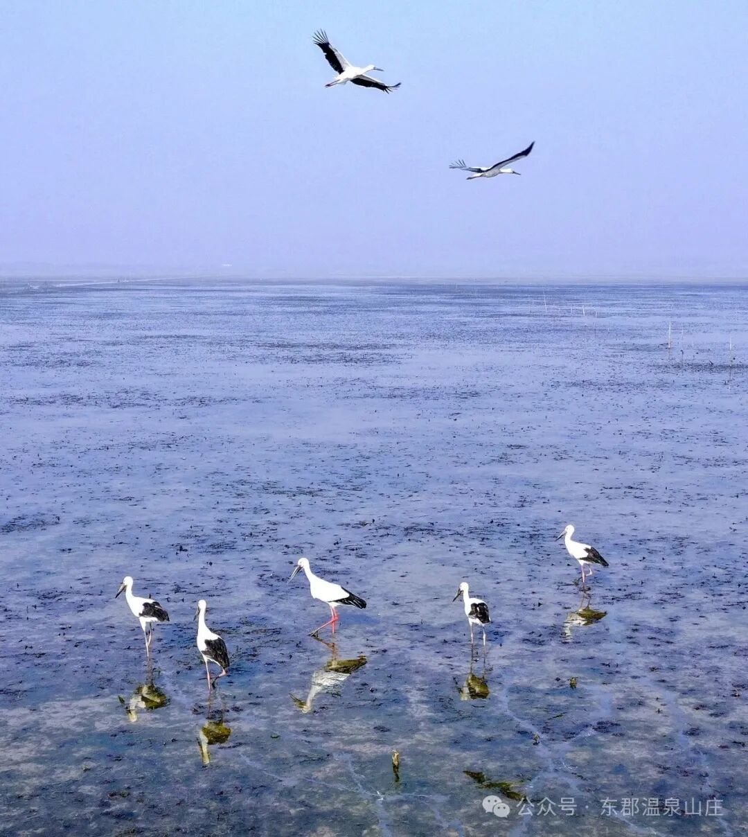 640 (5).jpg 640 (5).jpg