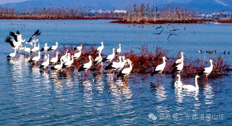 640 (6).jpg 640 (6).jpg