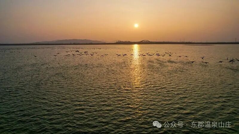 640 (8).jpg 640 (8).jpg