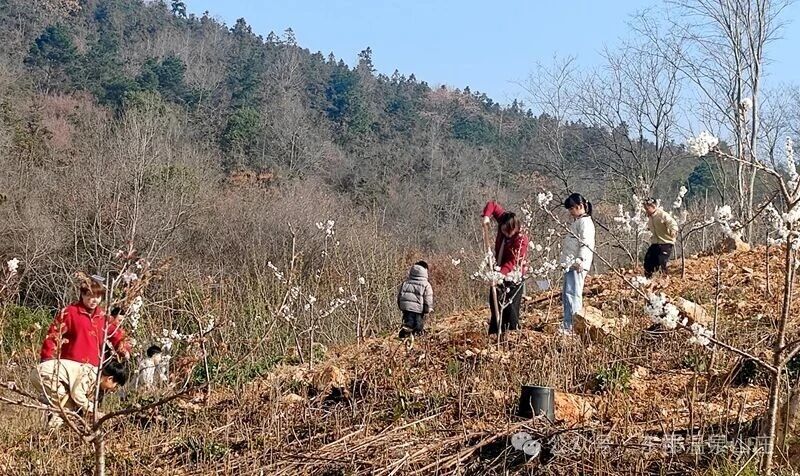 微信图片_2026-03-24_152942_409.jpg 微信图片_2026-03-24_152942_409.jpg