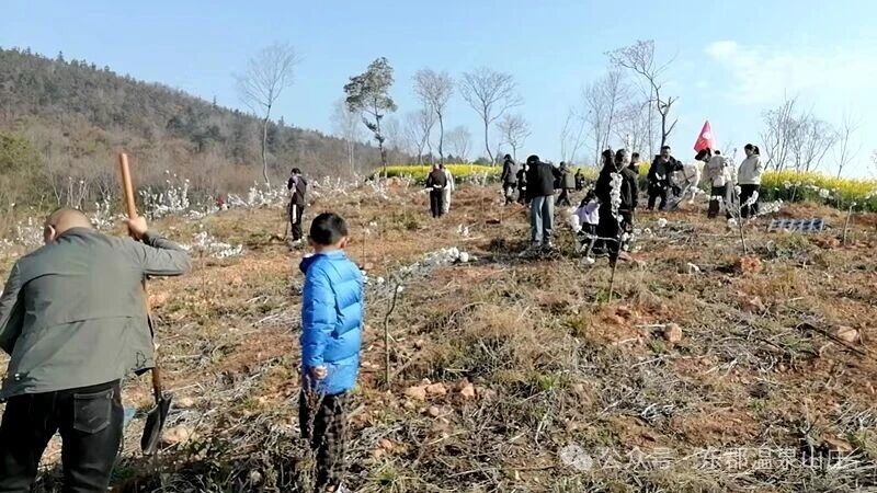 微信图片_2026-03-24_152945_321.jpg 微信图片_2026-03-24_152945_321.jpg