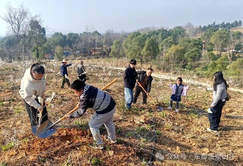 微信图片_2026-03-24_152947_831.jpg 微信图片_2026-03-24_152947_831.jpg