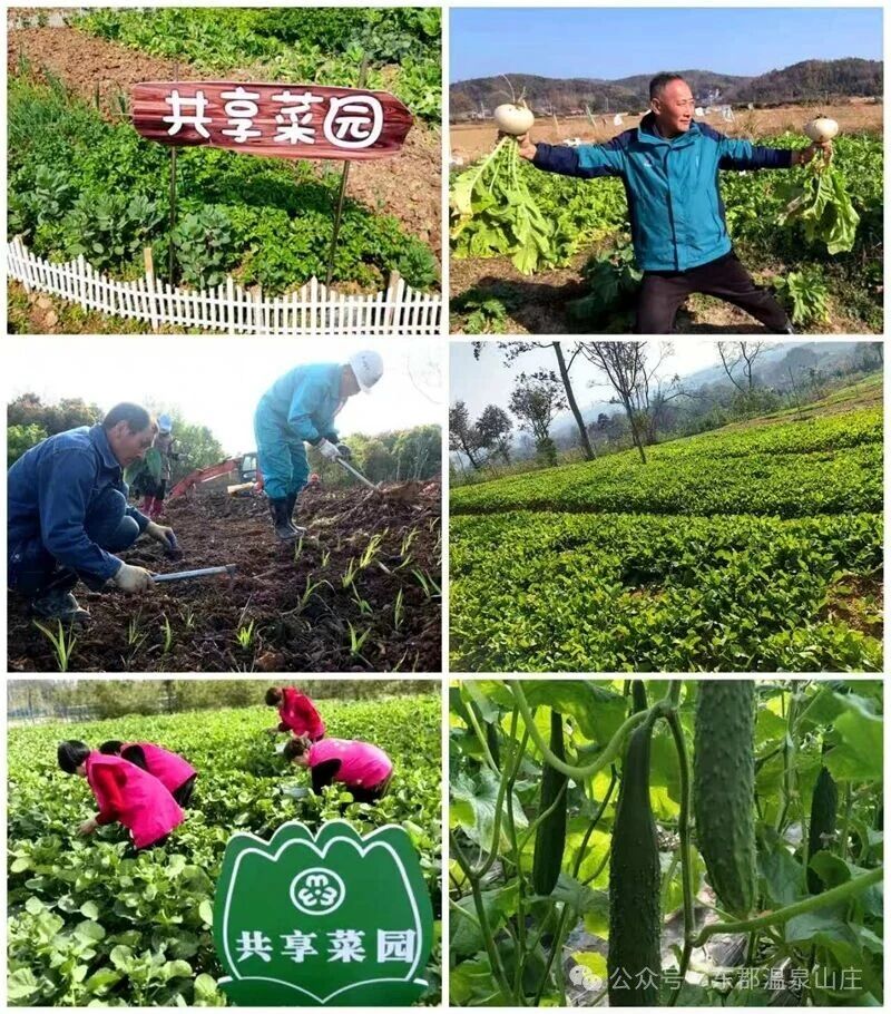 微信图片_2026-03-24_161851_269.jpg